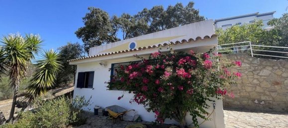 6 bedrooms House in Loule, Portugal No. 103596 25