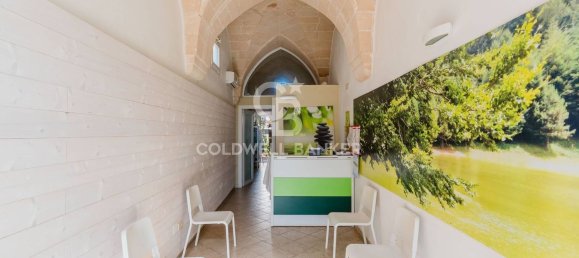 12 rooms Villa in Sava, Italy No. 165703 28