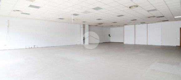 Studio in San Benedetto del Tronto, Italy No. 225009 3