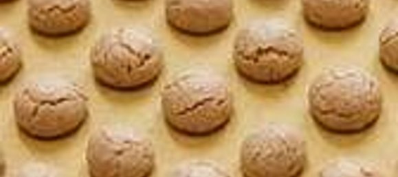 4 bedrooms Apartment in Chivasso, Italy No. 339619 19