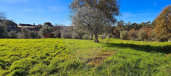 2 bedrooms House in Ansiao, Portugal No. 28058 21