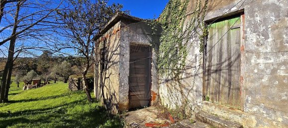 2 bedrooms House in Ansiao, Portugal No. 28058 16