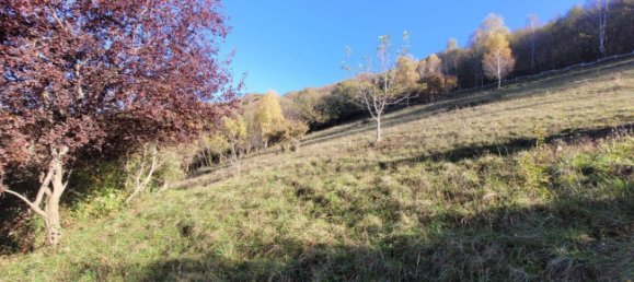 3-Zimmer Haus in Albino, Italy, Nr. 173008 8