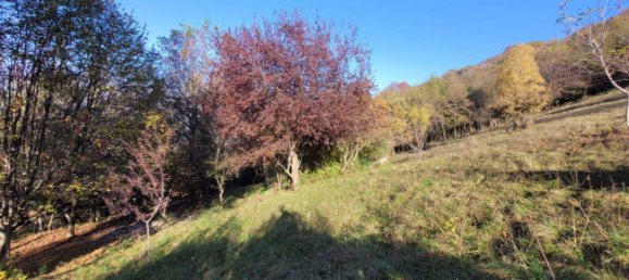 3-Zimmer Haus in Albino, Italy, Nr. 173008 7