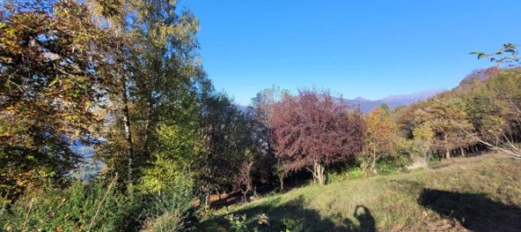 3-Zimmer Haus in Albino, Italy, Nr. 173008 5