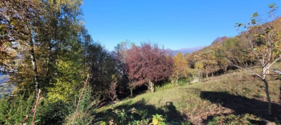 3-Zimmer Haus in Albino, Italy, Nr. 173008 9