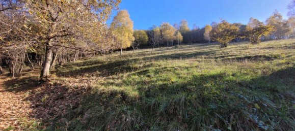 3-Zimmer Haus in Albino, Italy, Nr. 173008 6