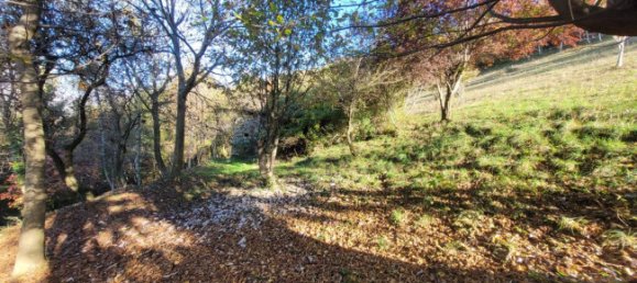 3-Zimmer Haus in Albino, Italy, Nr. 173008 4