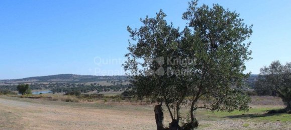 52500m² Land in Alcacovas, Portugal No. 121909 50