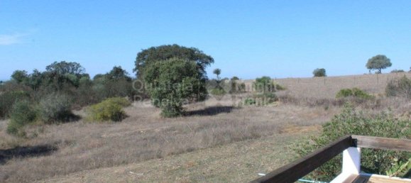 52500m² Land in Alcacovas, Portugal No. 121909 40