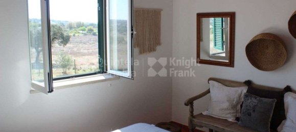 52500m² Land in Alcacovas, Portugal No. 121909 25