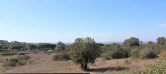 52500m² Land in Alcacovas, Portugal No. 121909 41