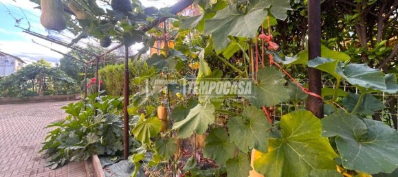 2 bedrooms Apartment in Cuneo, Italy No. 349328 46