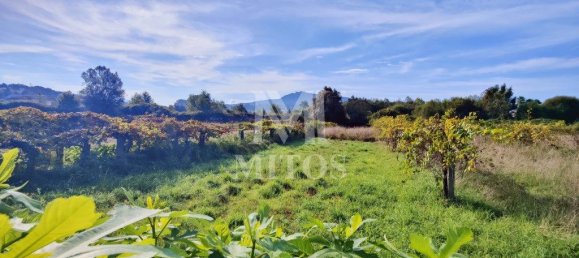 Grundstück in Viana do Castelo, Portugal 1446m², Nr. 81724 9