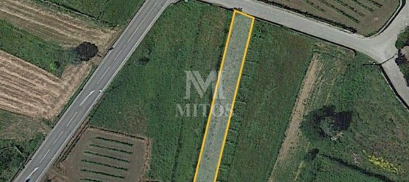 Grundstück in Viana do Castelo, Portugal 1446m², Nr. 81724 12