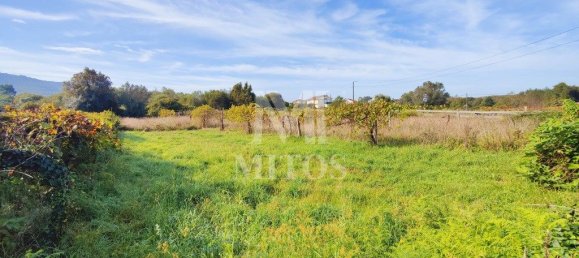 Grundstück in Viana do Castelo, Portugal 1446m², Nr. 81724 10