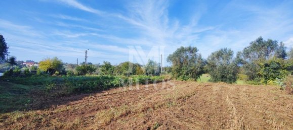 Grundstück in Viana do Castelo, Portugal 1446m², Nr. 81724 3