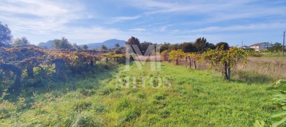 Grundstück in Viana do Castelo, Portugal 1446m², Nr. 81724 11