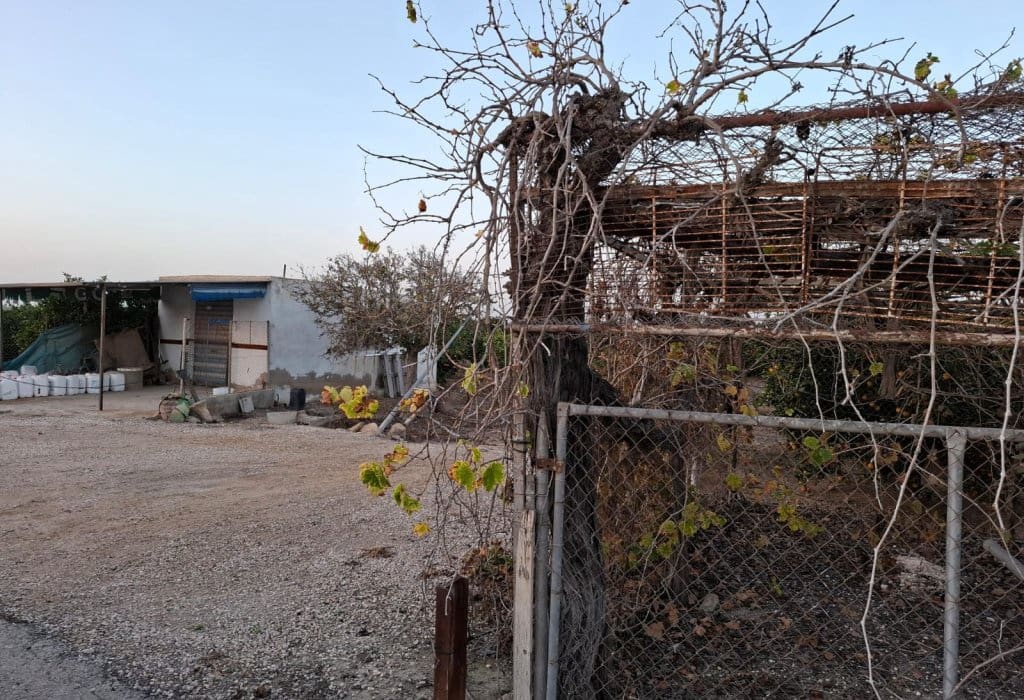 Grundstück in Guardamar del Segura, Spain, Nr. 221383