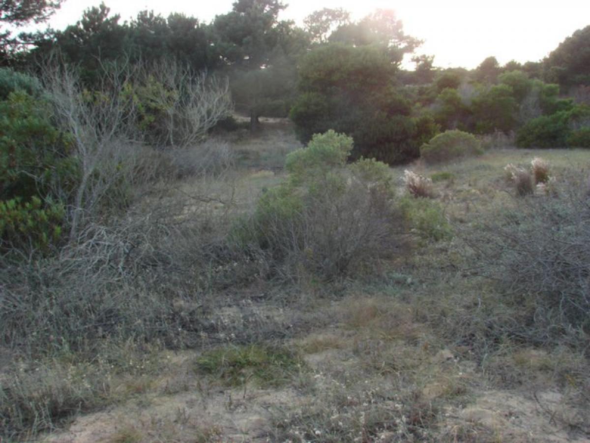  Land in Maldonado, Uruguay No. 15755