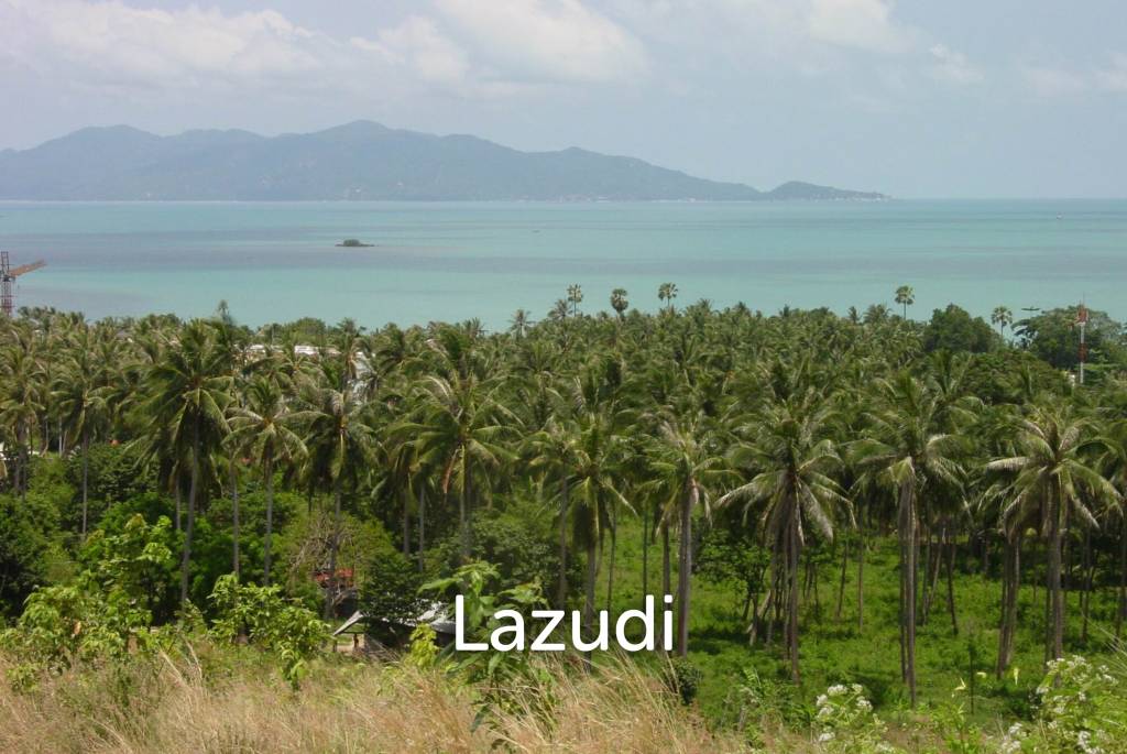  Commercial property in Ko Samui, Thailand No. 15068