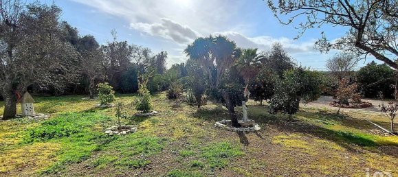 4 غرف نوم فيلا في Silves, Portugal رقم 100412 32