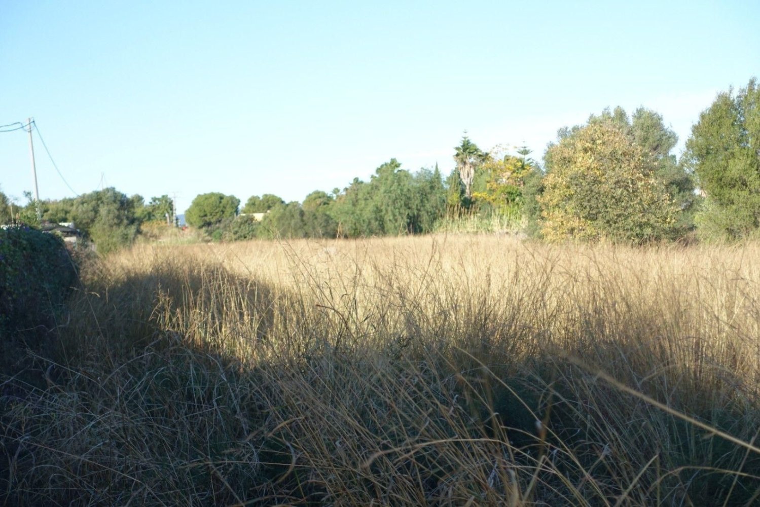 2884m² Land in Els Poblets, Spain No. 212363