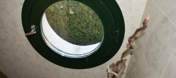 2 bedrooms Villa in Oraiokastro, Greece No. 4888 2