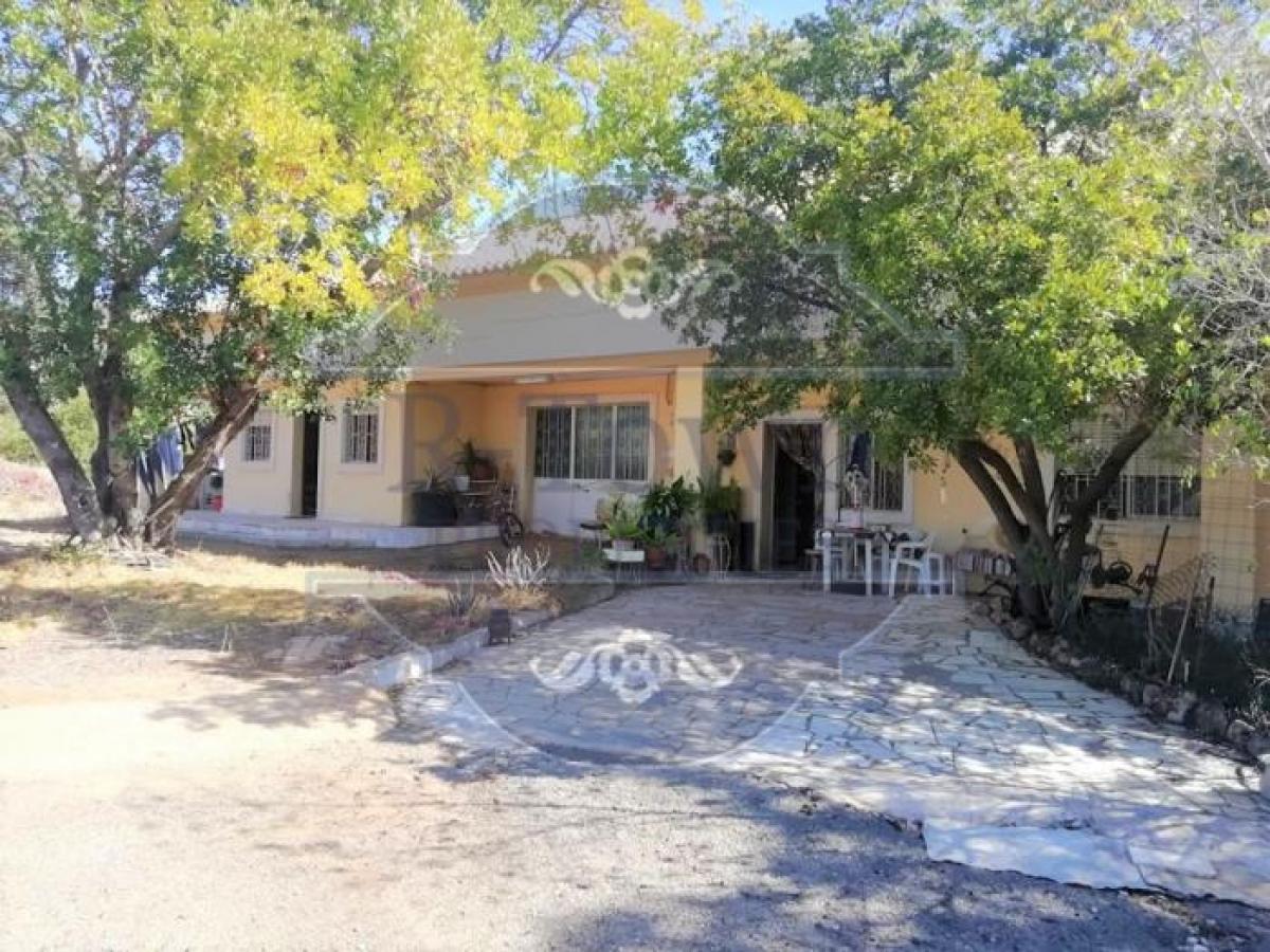 Casa de 11 dormitorios en Faro, Portugal No. 3067