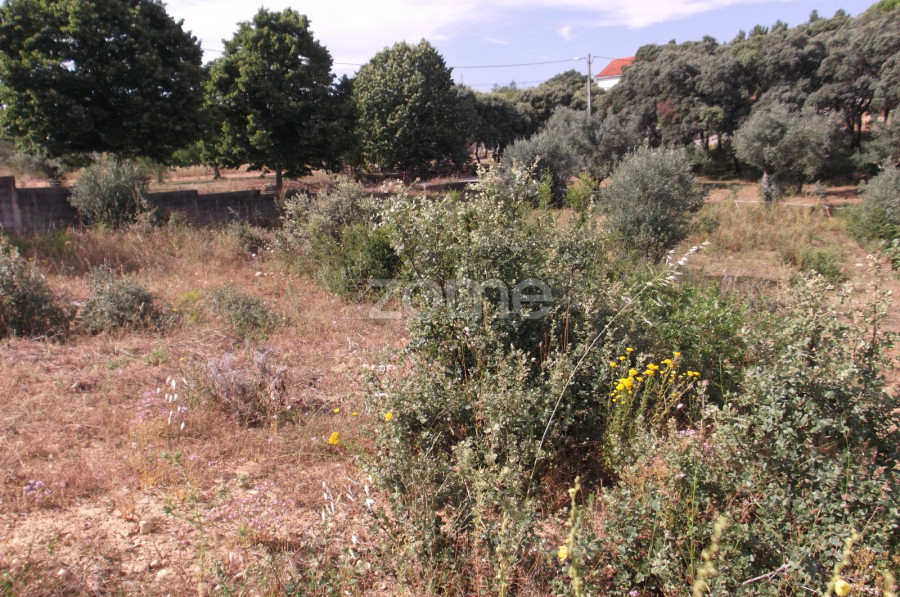  Land in Tomar, Portugal No. 68858