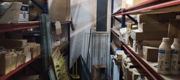 Propriété commerciale à Pineda de Mar, Spain 180m² No. 83683 10