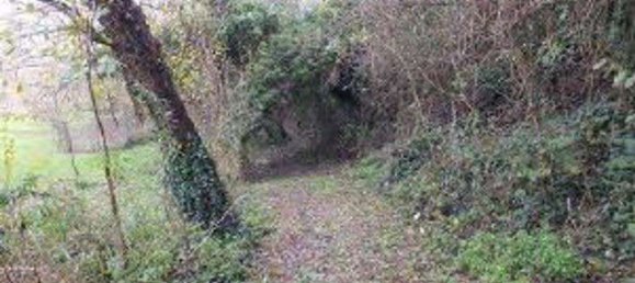 4-Zimmer Haus in Peccioli, Italy, Nr. 280356 6