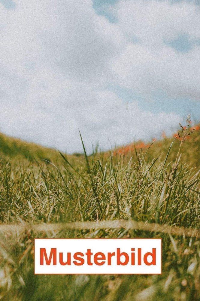 Terreno en Bonn, Germany No. 347784