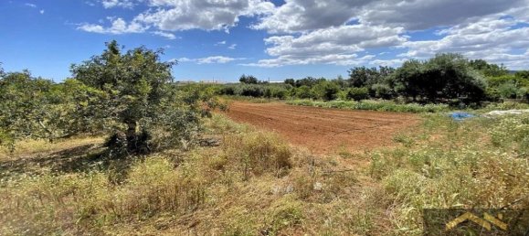 3 Schlafzimmer Villa in Tavira, Portugal, Nr. 9278 4