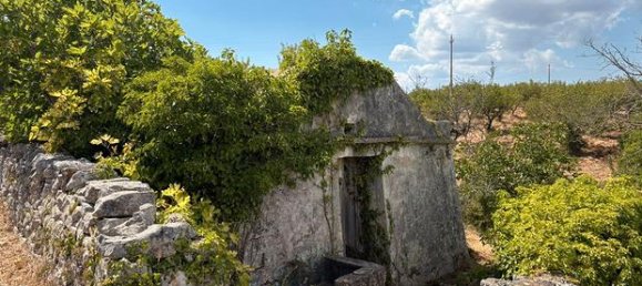 Grundstück in Ostuni, Italy 10000m², Nr. 302886 5