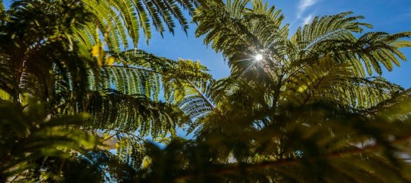 Квартира с 2 спальнями в Лос Монтесинос, Испания № 11268 10