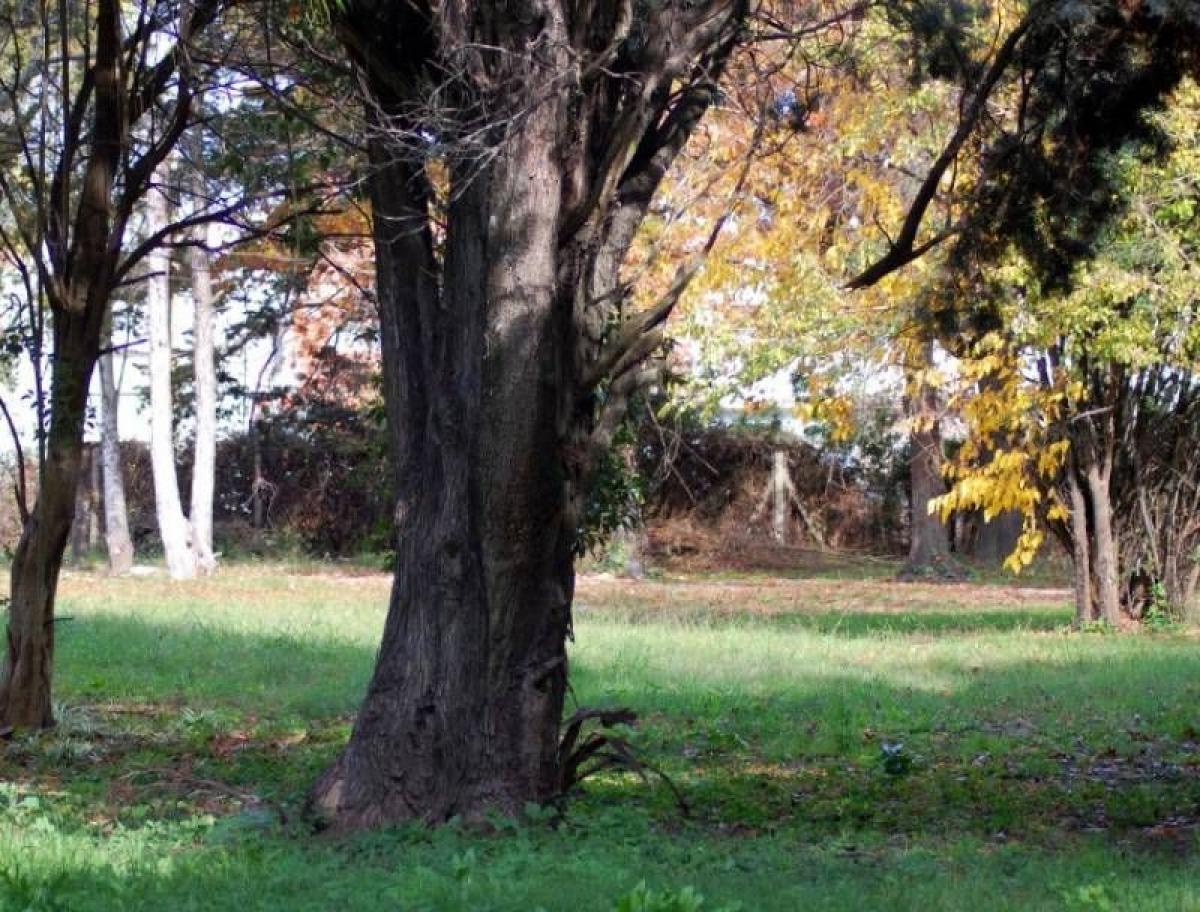  Land in Tigre, Argentina No. 50796