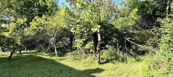 1340m² Land in Leibnitz, Austria No. 197032 10