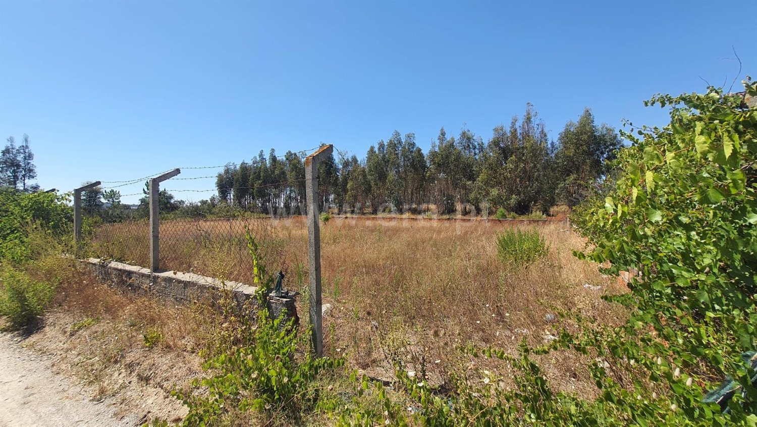  Land in Palmela, Portugal No. 251586