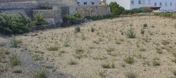  قطعة أرض في San Miguel de Abona, Spain 3021متر مربع رقم 173605 42