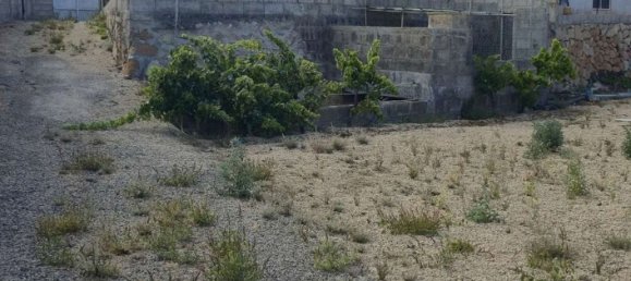  قطعة أرض في San Miguel de Abona, Spain 3021متر مربع رقم 173605 41