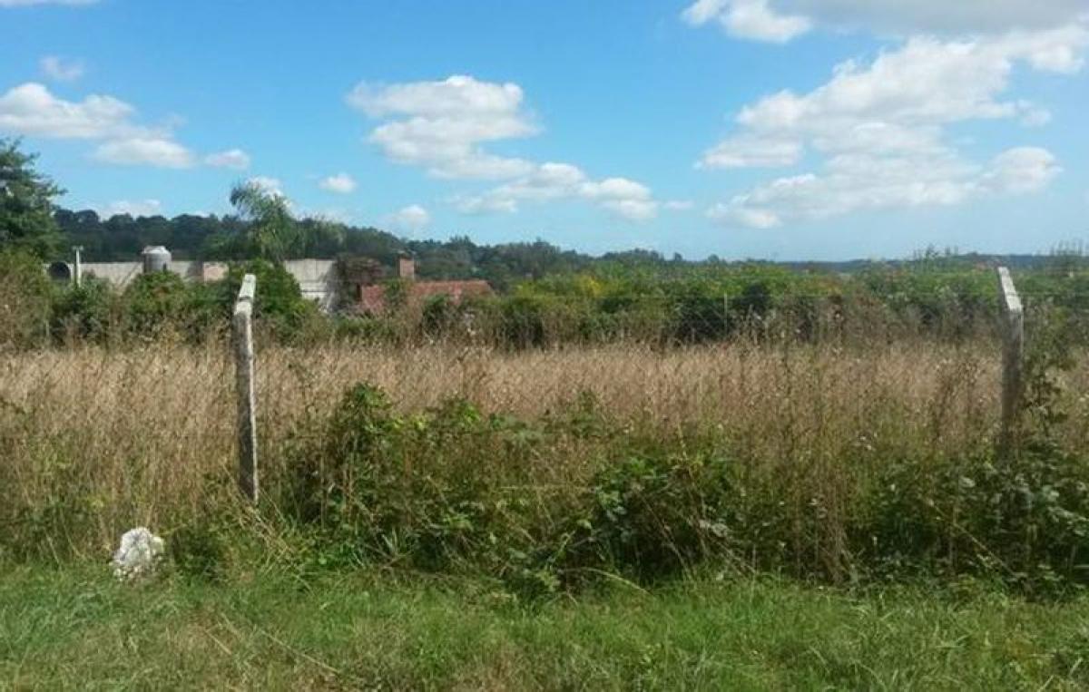 Terreno em Mar del Plata, Argentina N.º 116861