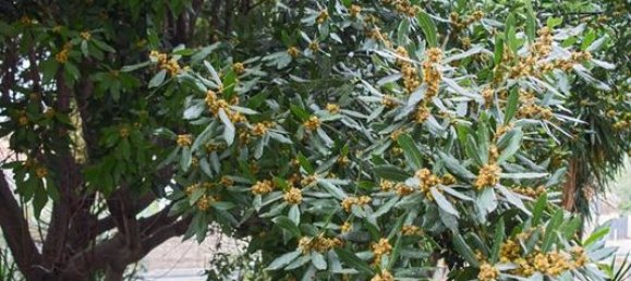 Студия в Тулон, Франция № 340849 4