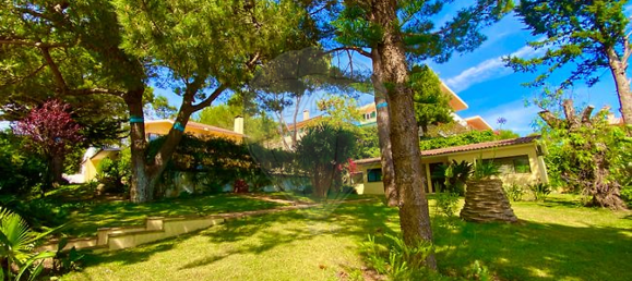 7 غرف نوم منزل في Cascais, Portugal رقم 49036 5