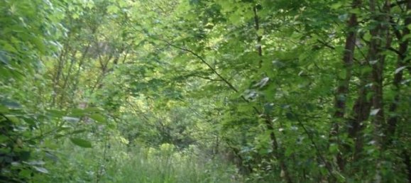 Casa de 5 divisões em Pordenone, Italy N.º 36361 9