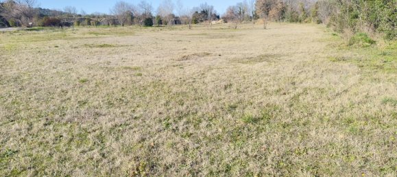 530m² Land in Saint-Alexandre, France No. 98730 15