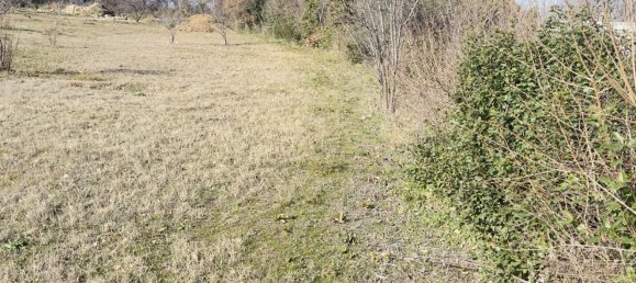 530m² Land in Saint-Alexandre, France No. 98730 4