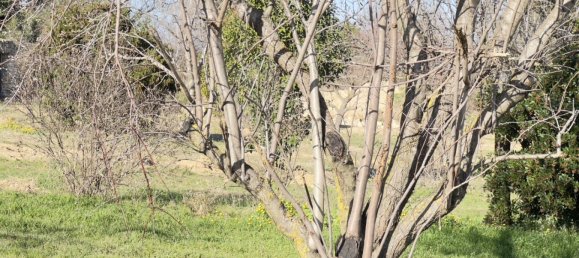 530m² Land in Saint-Alexandre, France No. 98730 7