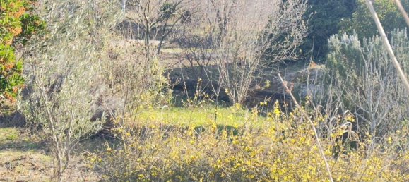 530m² Land in Saint-Alexandre, France No. 98730 2