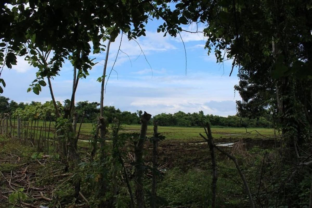  Land in Garabito, Costa Rica No. 1448